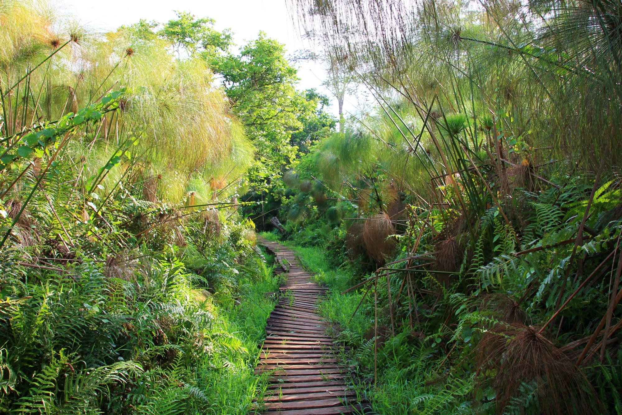 Creative Retreats