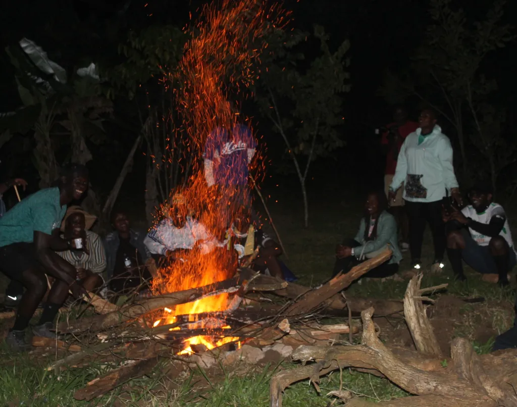 Bonfire Evenings