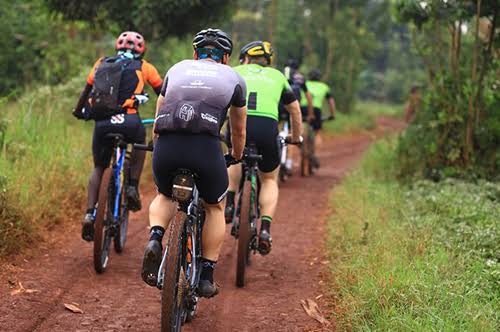 Cycling Tours